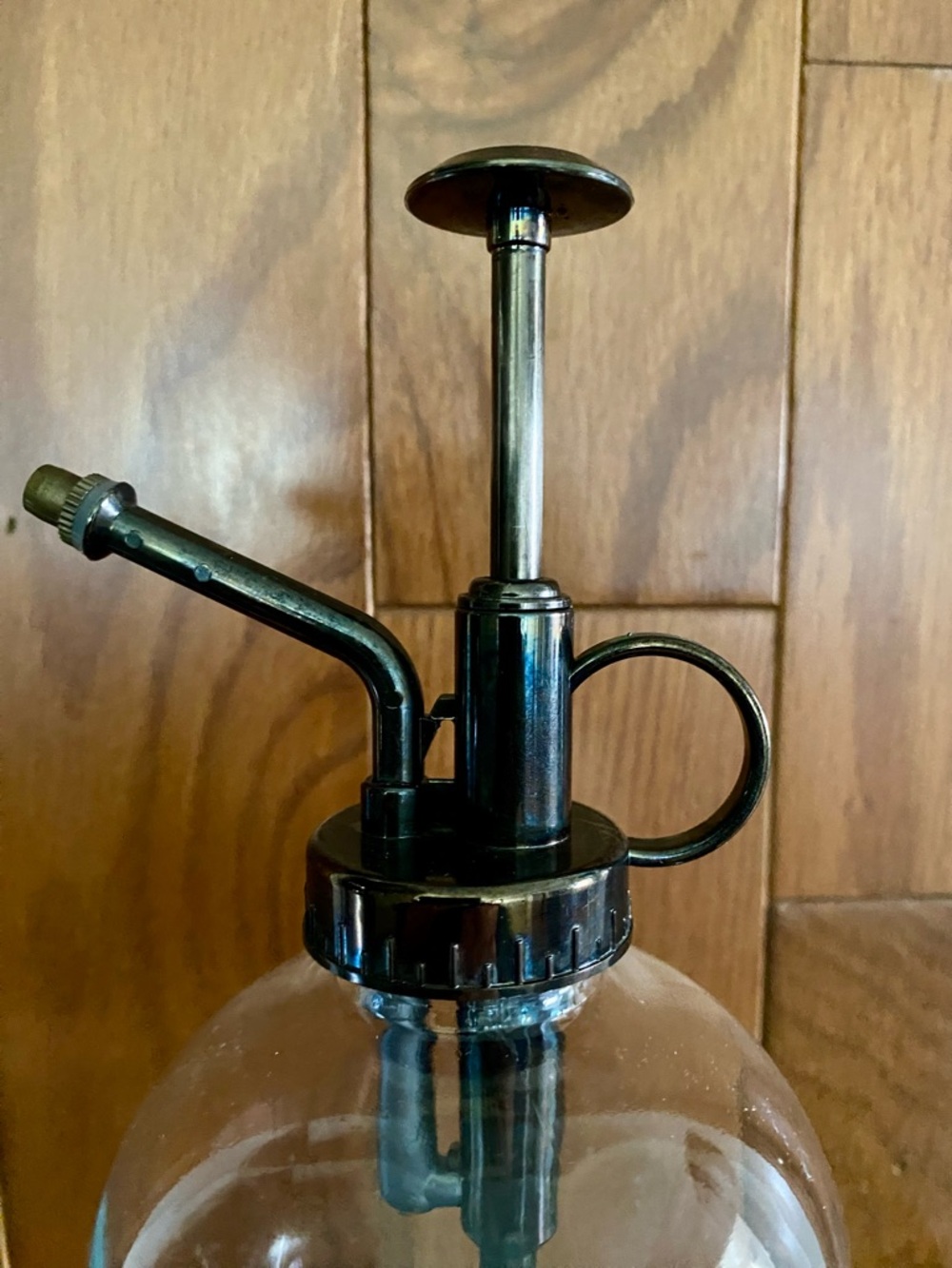 Glass Plant Mister with Metal Pump - Clear & Brass-Tone
